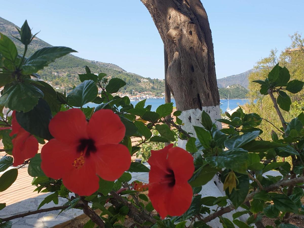 Villa Eleni Вати Екстериор снимка