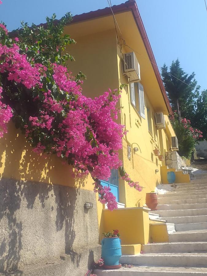 Villa Eleni Вати Екстериор снимка
